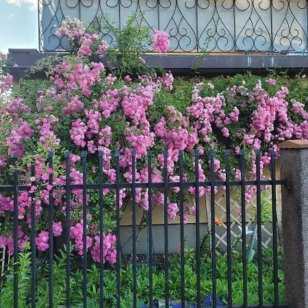 Dom Goscinny Asia Проживание в семье Колобжег