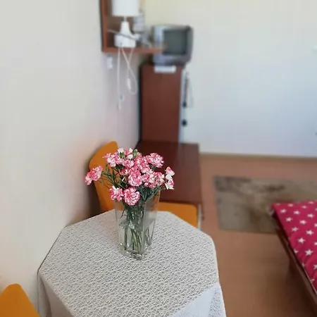 Dom Goscinny Asia Ubytování v soukromí *